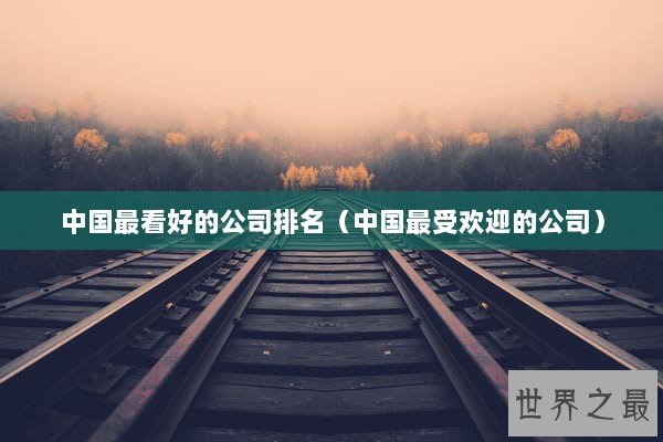 中国最看好的公司排名 管理的艺术与市场的认可